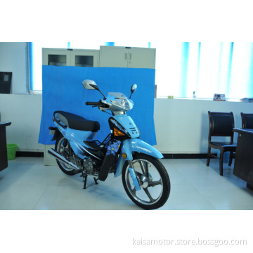 Cub Model